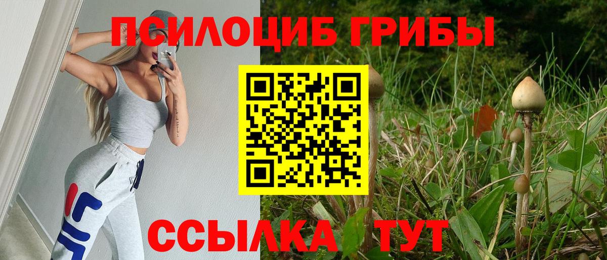 Галлюциногенные грибы мухоморы  Вход с VPN  Псилоцибиновые грибы мухоморы  купить закладку  Строитель 