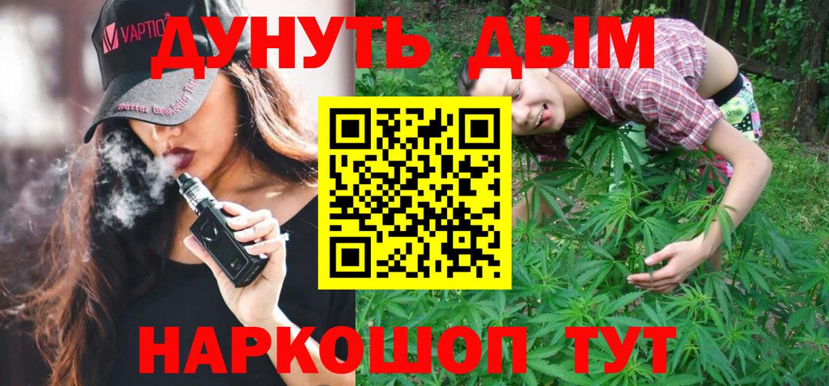 Каннабис семена  Бошки марихуана MAZAR  Вход с VPN  Строитель  Каннабис VHQ 